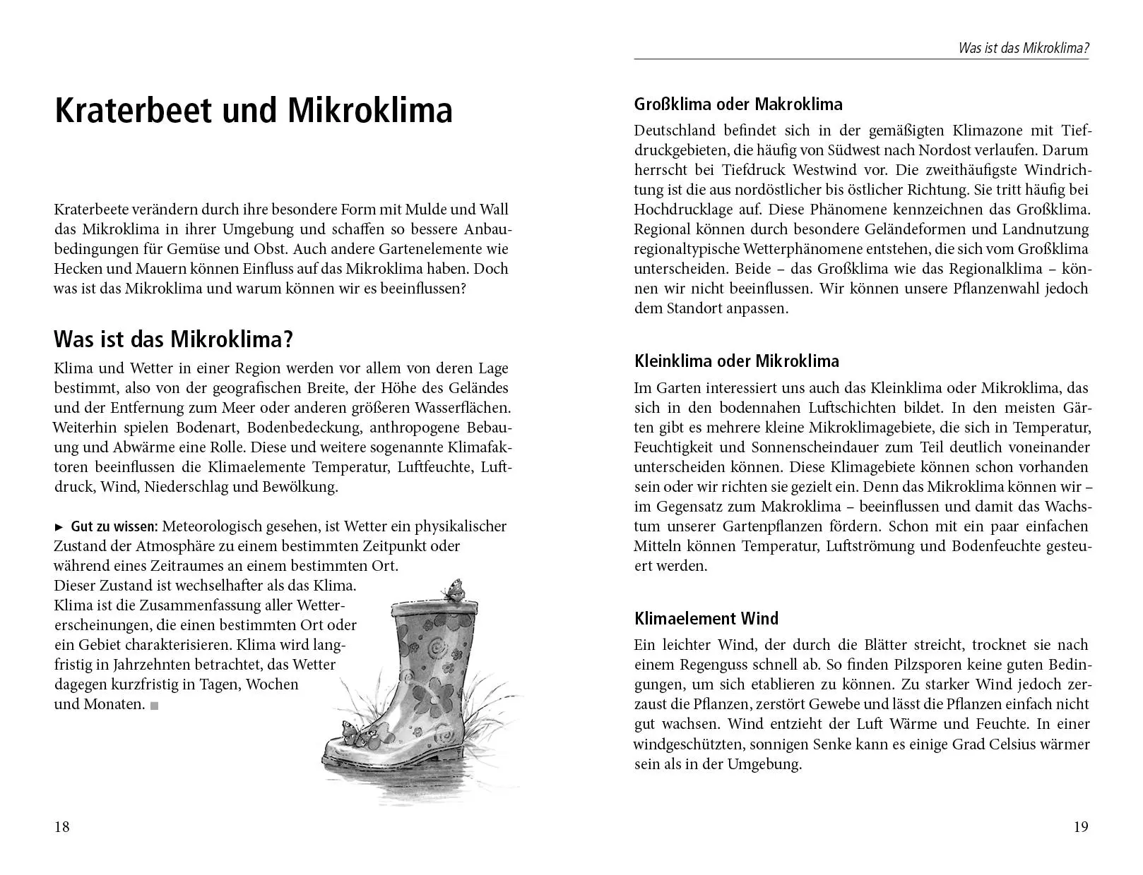 Bild: 9783895663550 | Das Kraterbeet | Natalie Faßmann | Buch | 144 S. | Deutsch | 2016