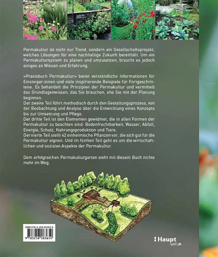 Rückseite: 9783258083650 | Praxisbuch Permakultur | Jessi Bloom (u. a.) | Buch | 320 S. | Deutsch