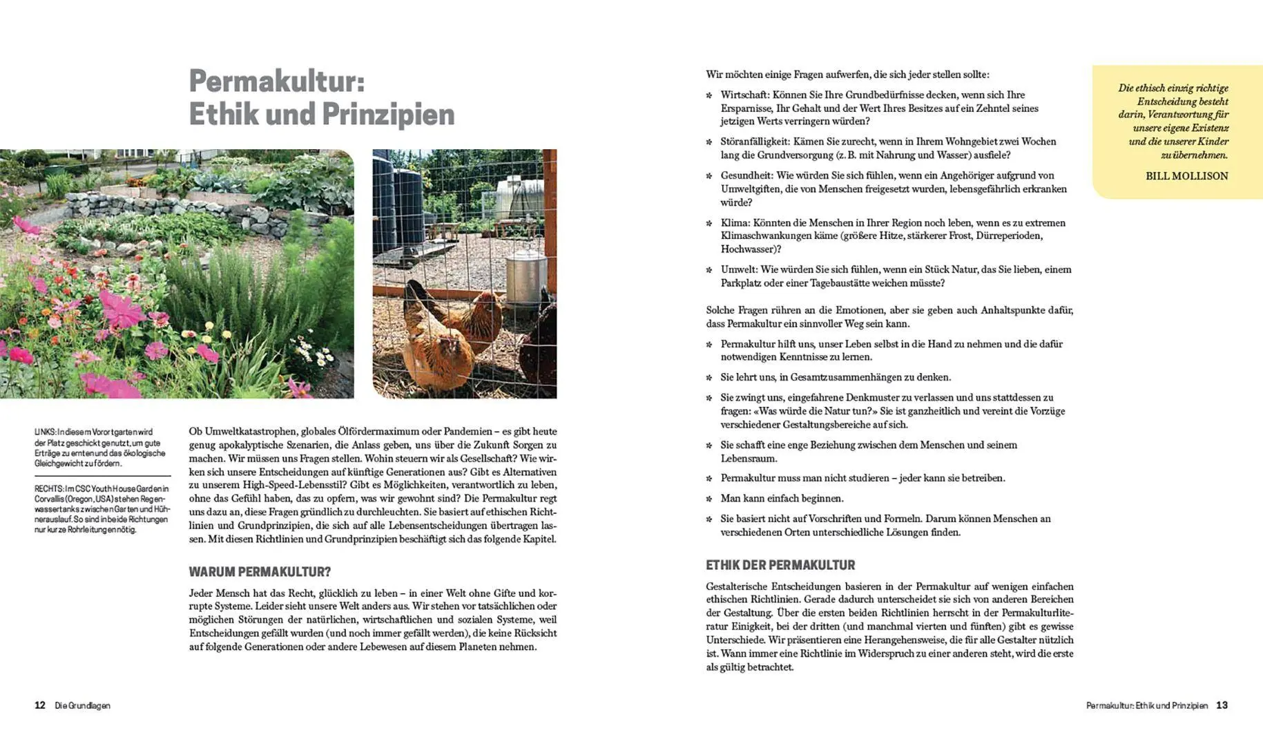 Bild: 9783258083650 | Praxisbuch Permakultur | Jessi Bloom (u. a.) | Buch | 320 S. | Deutsch