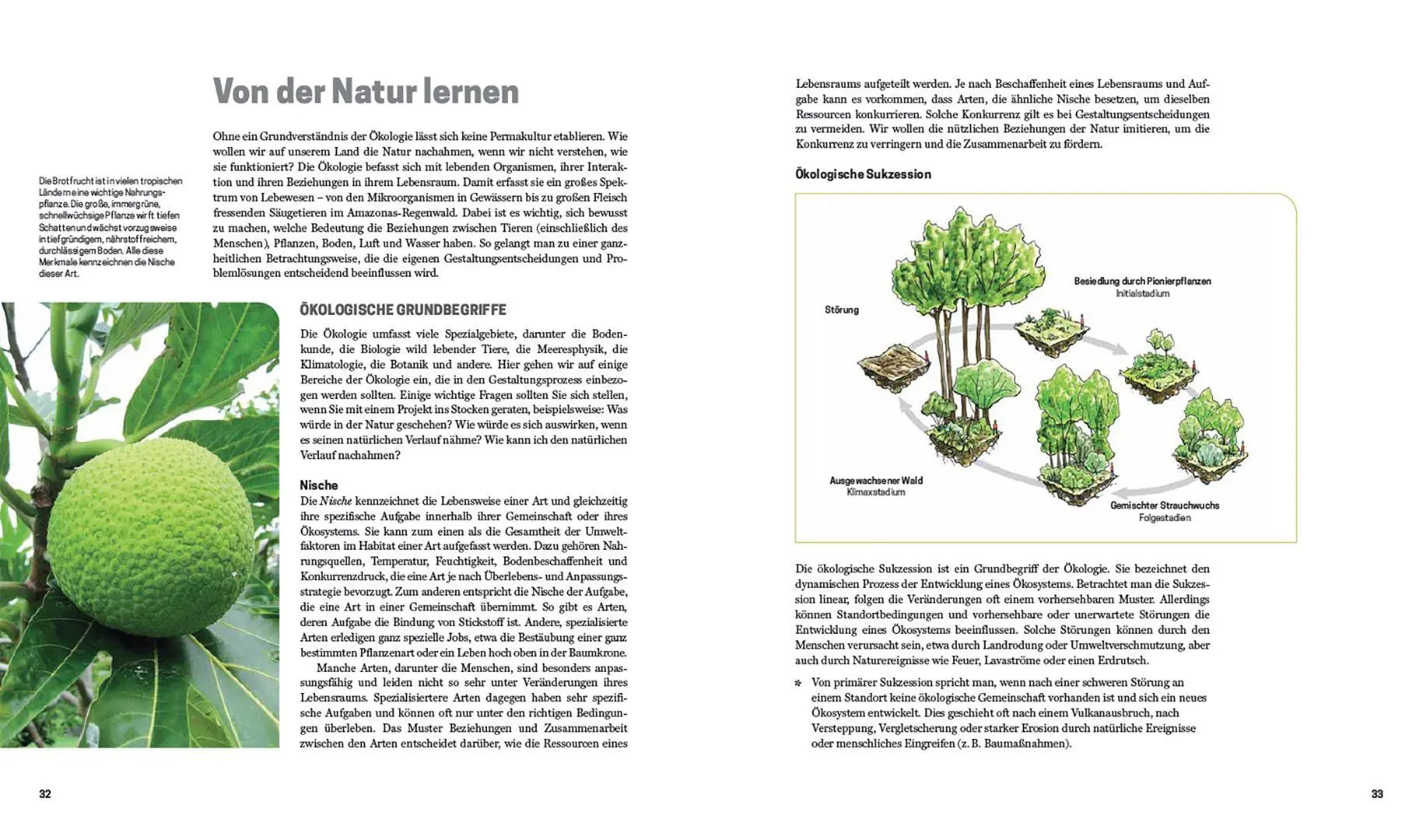 Bild: 9783258083650 | Praxisbuch Permakultur | Jessi Bloom (u. a.) | Buch | 320 S. | Deutsch