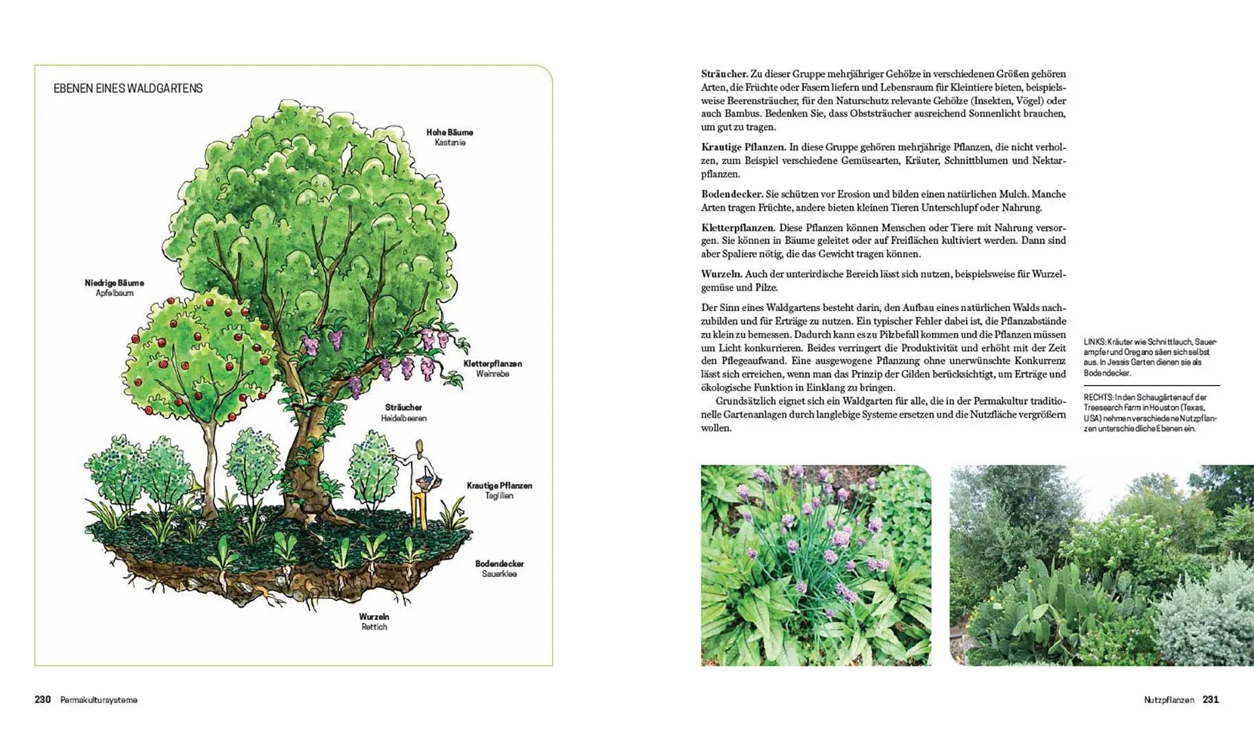 Bild: 9783258083650 | Praxisbuch Permakultur | Jessi Bloom (u. a.) | Buch | 320 S. | Deutsch