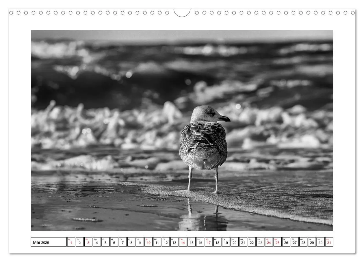 Bild: 9783516093650 | Am Strand von St. Peter-Ording SCHWARZ-WEISS (Wandkalender 2026 DIN...