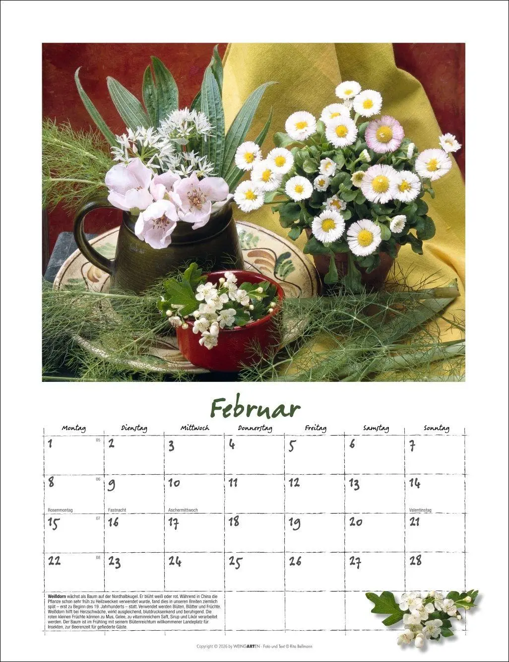 Bild: 9783839903650 | Augenschmaus Kalender 2027 - Gewürze und Kräuter rund ums Jahr | 14 S.