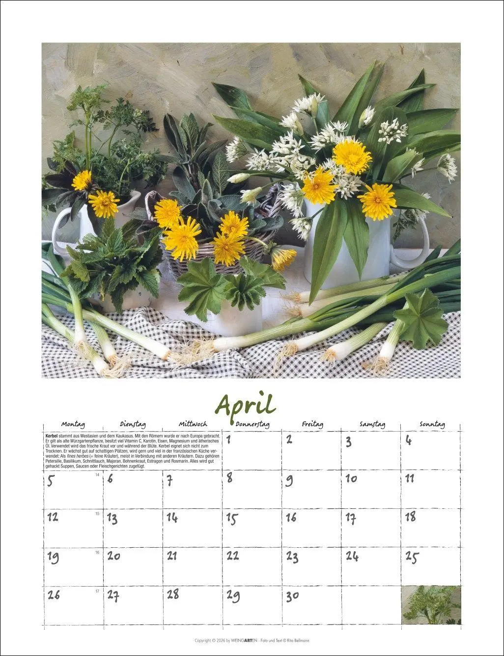 Bild: 9783839903650 | Augenschmaus Kalender 2027 - Gewürze und Kräuter rund ums Jahr | 14 S.