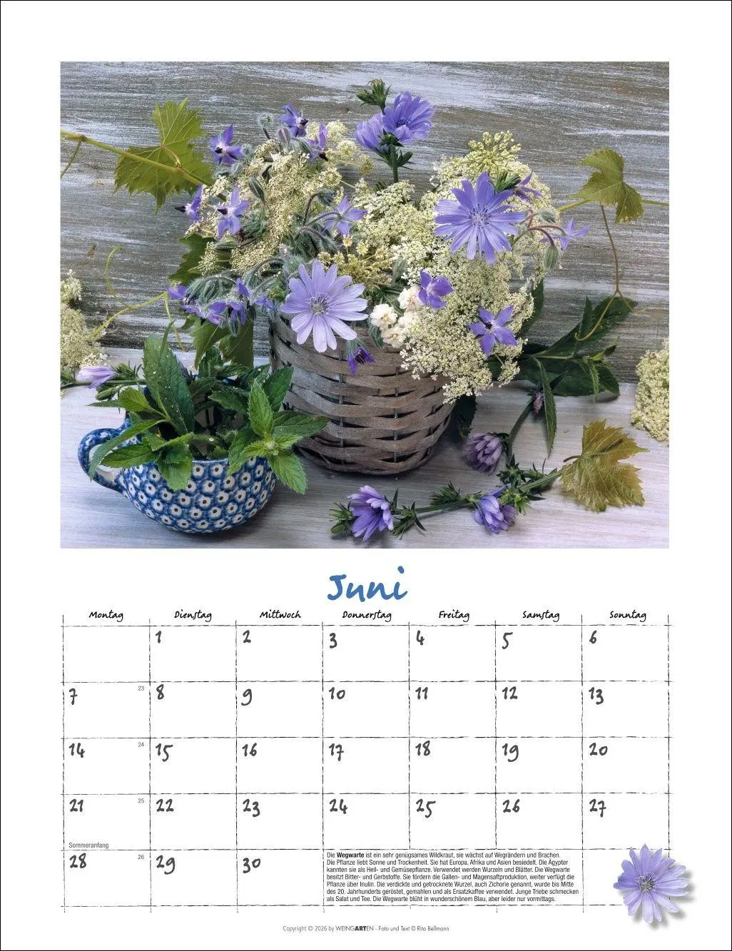 Bild: 9783839903650 | Augenschmaus Kalender 2027 - Gewürze und Kräuter rund ums Jahr | 14 S.