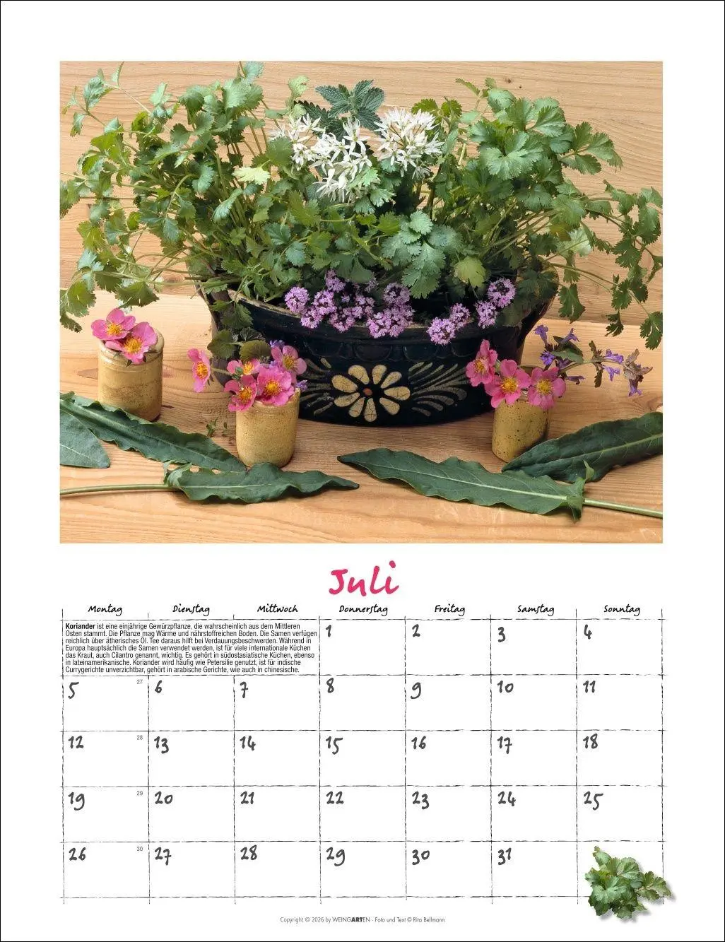 Bild: 9783839903650 | Augenschmaus Kalender 2027 - Gewürze und Kräuter rund ums Jahr | 14 S.