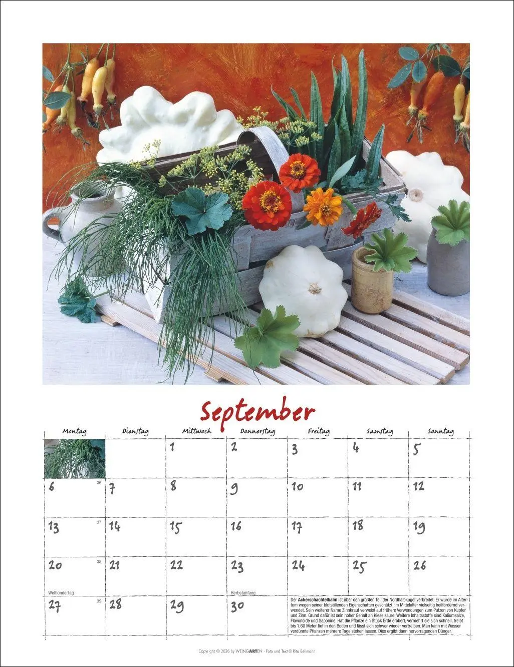 Bild: 9783839903650 | Augenschmaus Kalender 2027 - Gewürze und Kräuter rund ums Jahr | 14 S.