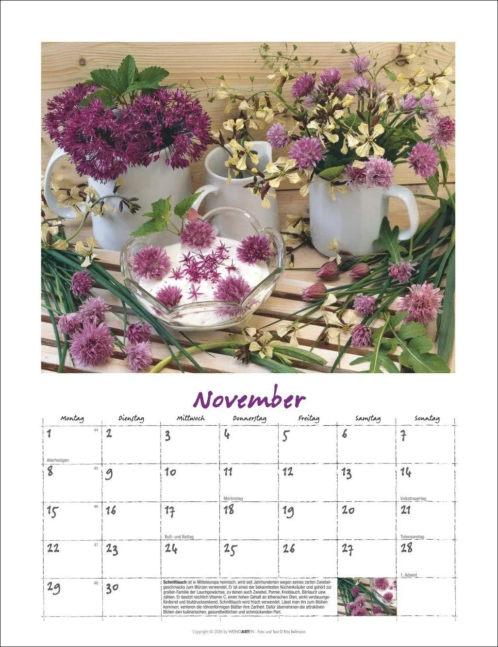 Bild: 9783839903650 | Augenschmaus Kalender 2027 - Gewürze und Kräuter rund ums Jahr | 14 S.