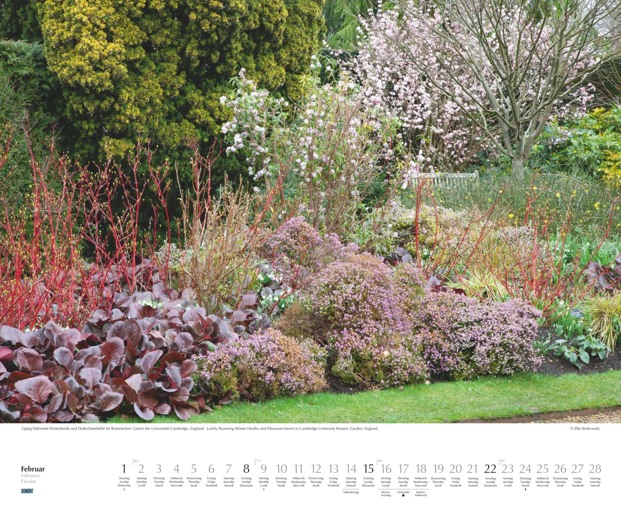 Bild: 4069095003750 | Zu Gast in schönen Gärten 2026 - DUMONT Garten-Kalender -...