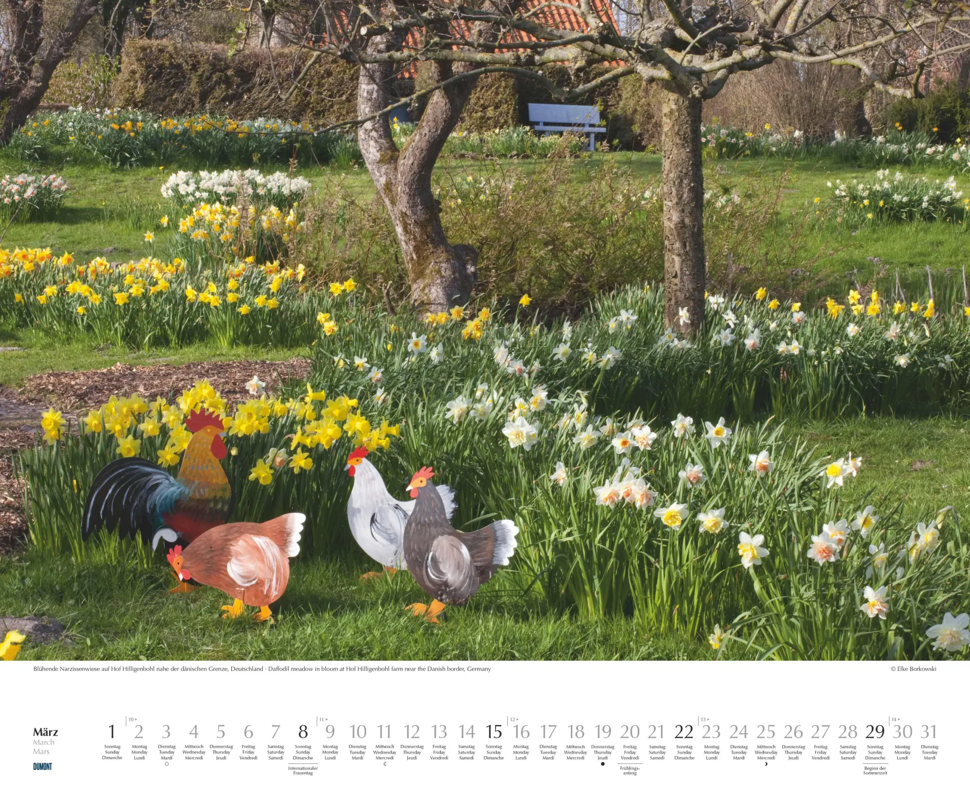 Bild: 4069095003750 | Zu Gast in schönen Gärten 2026 - DUMONT Garten-Kalender -...