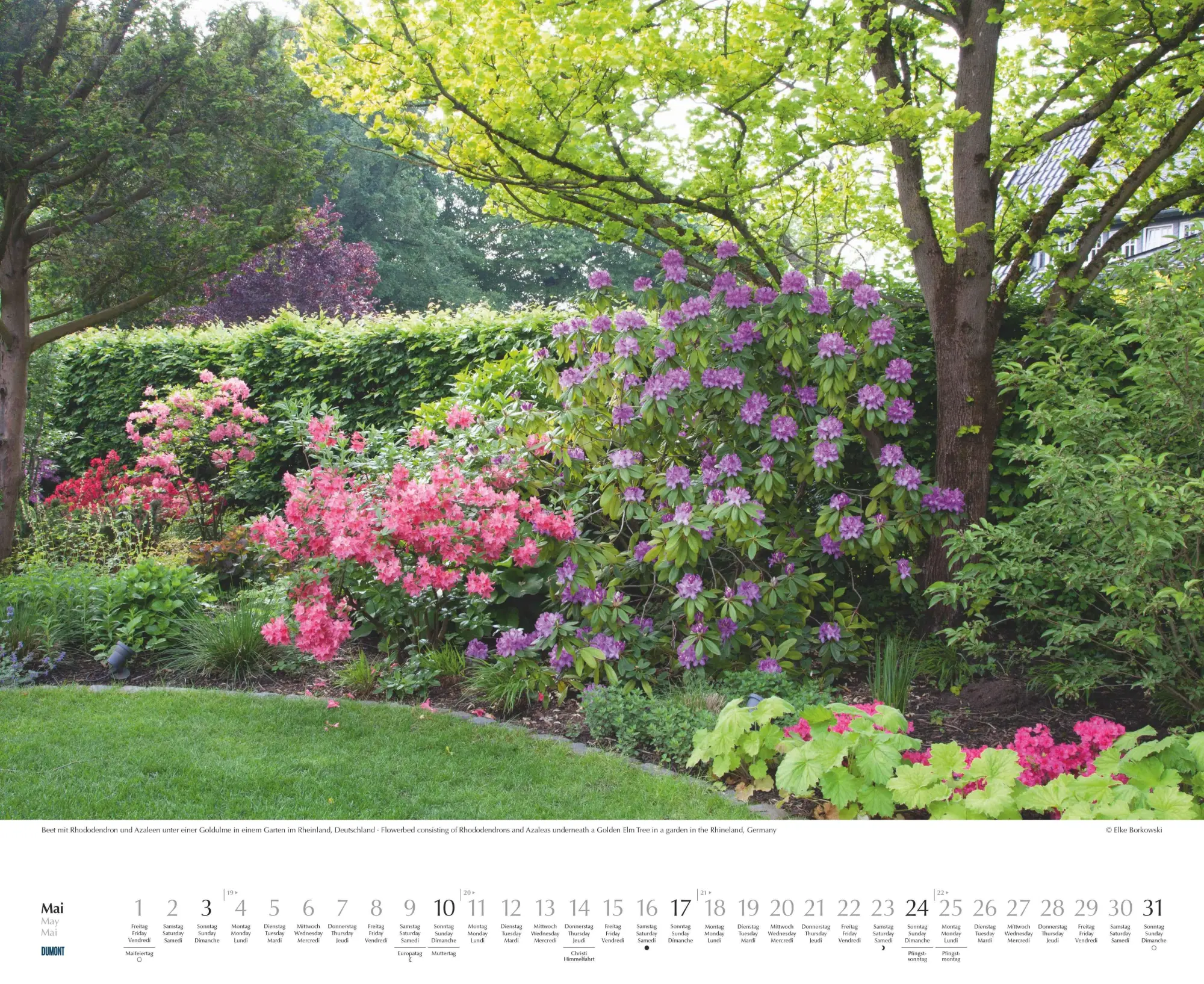Bild: 4069095003750 | Zu Gast in schönen Gärten 2026 - DUMONT Garten-Kalender -...