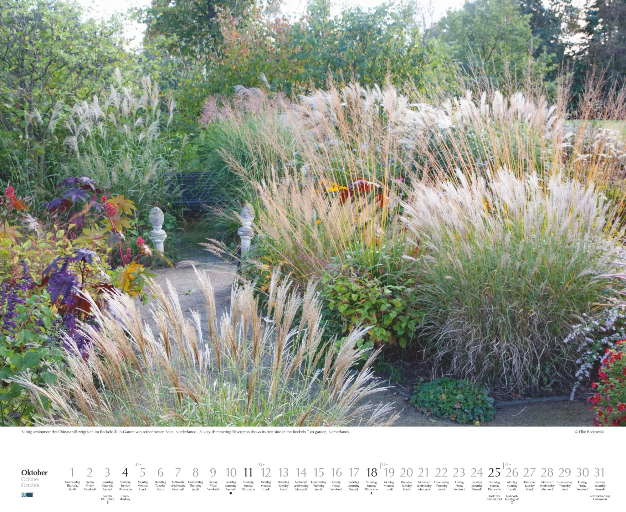 Bild: 4069095003750 | Zu Gast in schönen Gärten 2026 - DUMONT Garten-Kalender -...