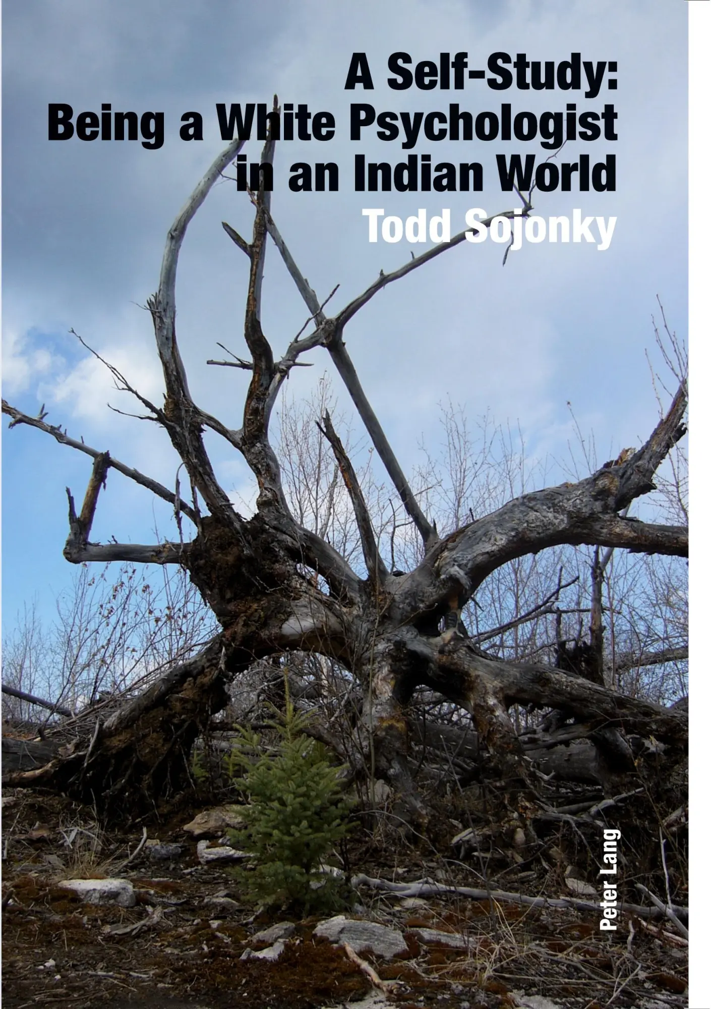 Cover: 9783034303750 | A Self-Study: Being a White Psychologist in an Indian World | Sojonky