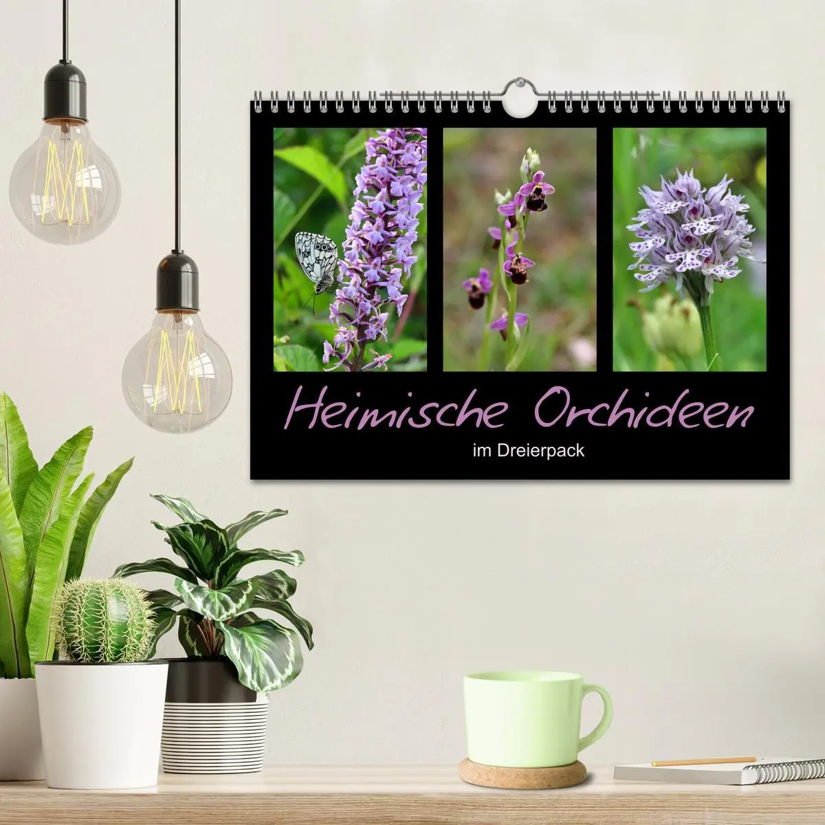 Bild: 9783457753750 | Heimische Orchideen im Dreierpack (Wandkalender 2026 DIN A4 quer),...