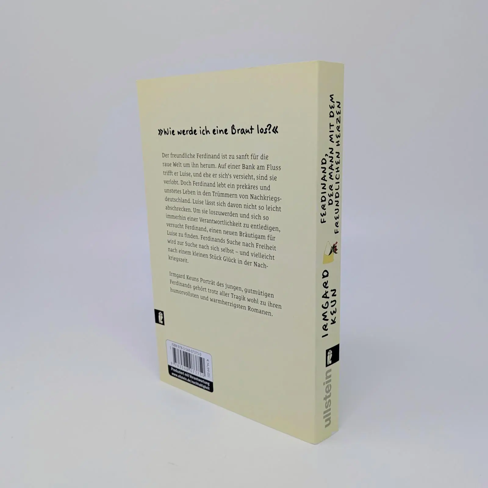 Bild: 9783548073750 | Ferdinand, der Mann mit dem freundlichen Herzen | Irmgard Keun | Buch