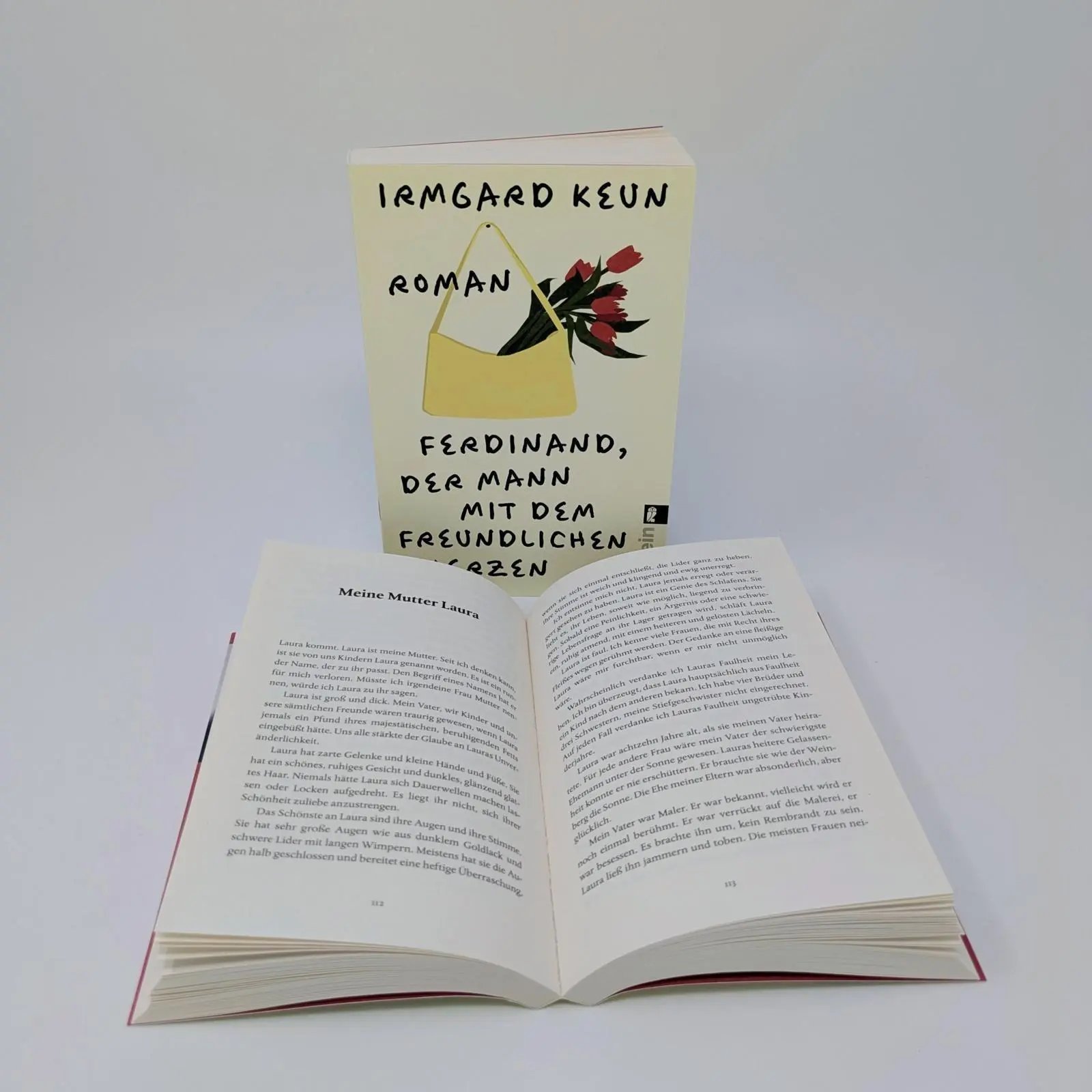 Bild: 9783548073750 | Ferdinand, der Mann mit dem freundlichen Herzen | Irmgard Keun | Buch