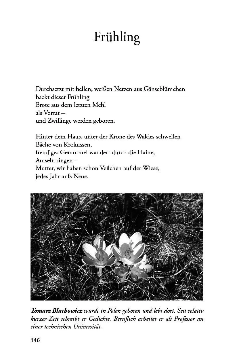 Bild: 9783990513750 | Leben pur - Frühlingsgefühle | Martina Meier | Taschenbuch | Deutsch