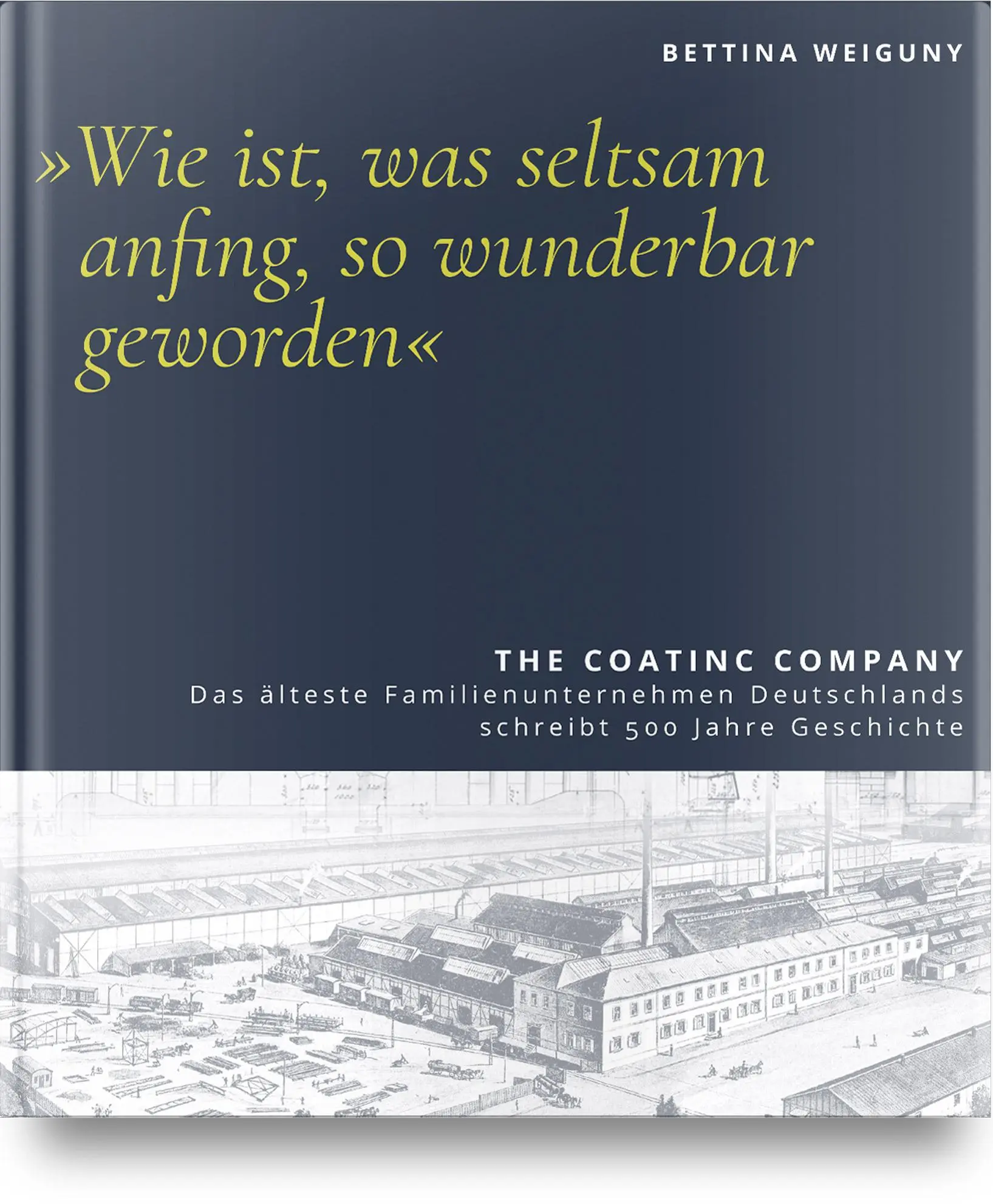 Cover: 9783446473850 | "Wie ist, was seltsam anfing, so wunderbar geworden" | Bettina Weiguny