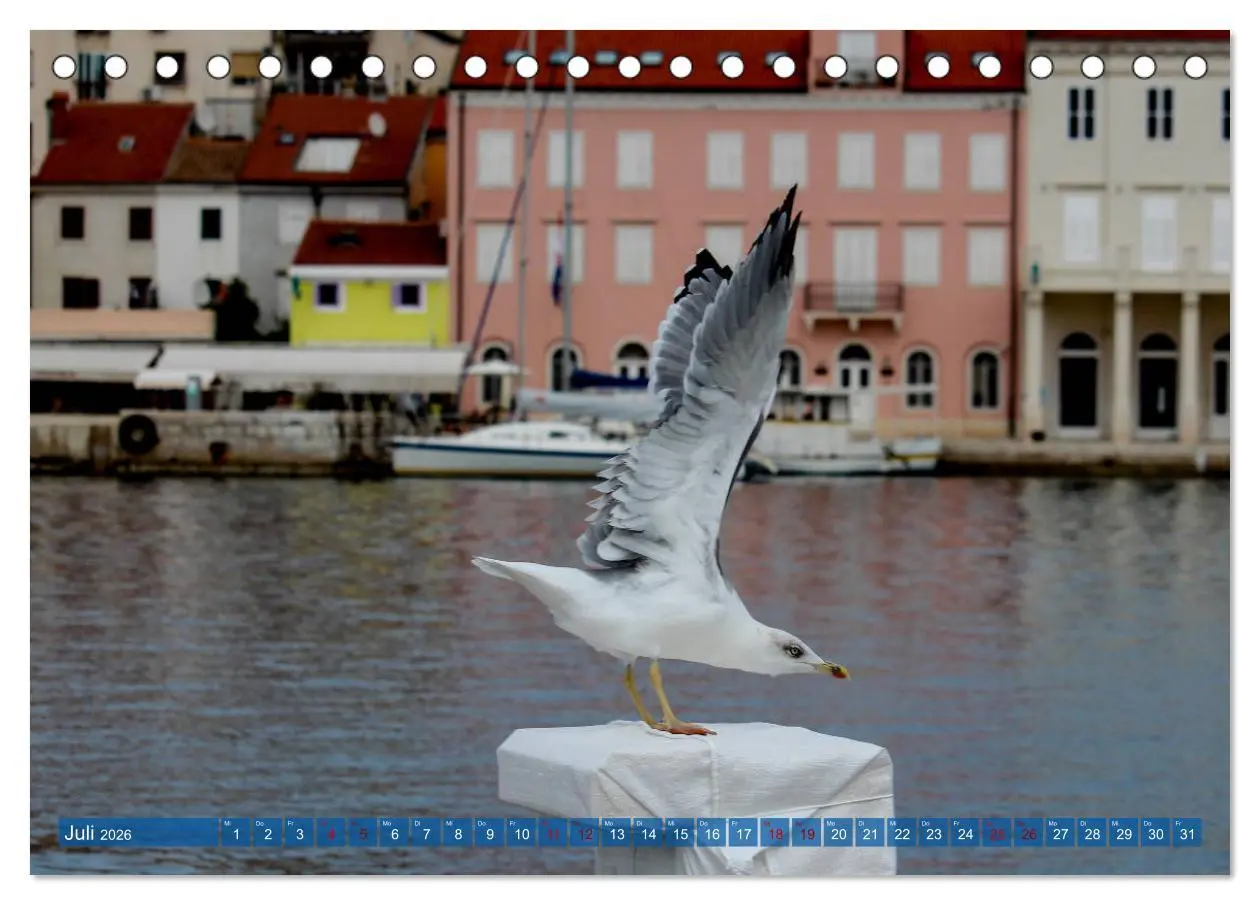 Bild: 9783457813850 | Inselwelt Cres &amp; Losinj (Tischkalender 2026 DIN A5 quer), CALVENDO...