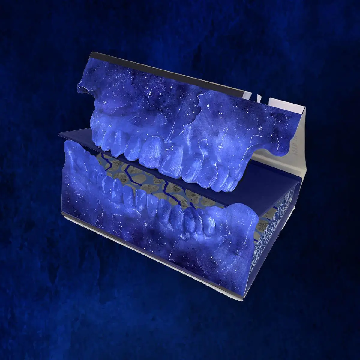 Bild: 9780063463950 | They Both Die at the End Collector's Deluxe Limited Edition | Silvera