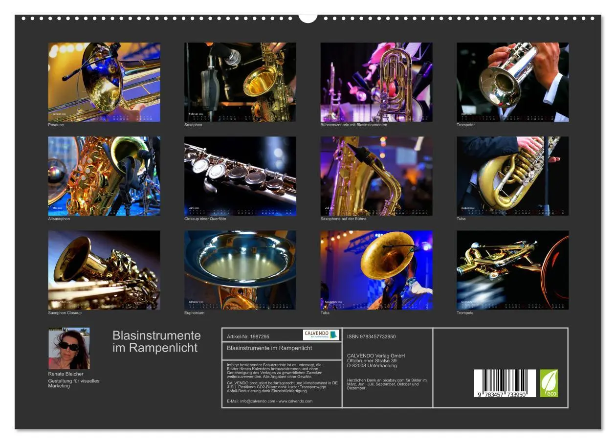 Bild: 9783457733950 | Blasinstrumente im Rampenlicht (hochwertiger Premium Wandkalender...