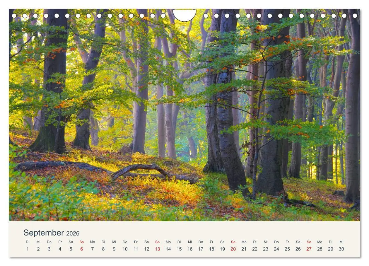 Bild: 9783457803950 | Sassnitz und die Kreideküste - Herbstimpressionen vom Hochuferweg...