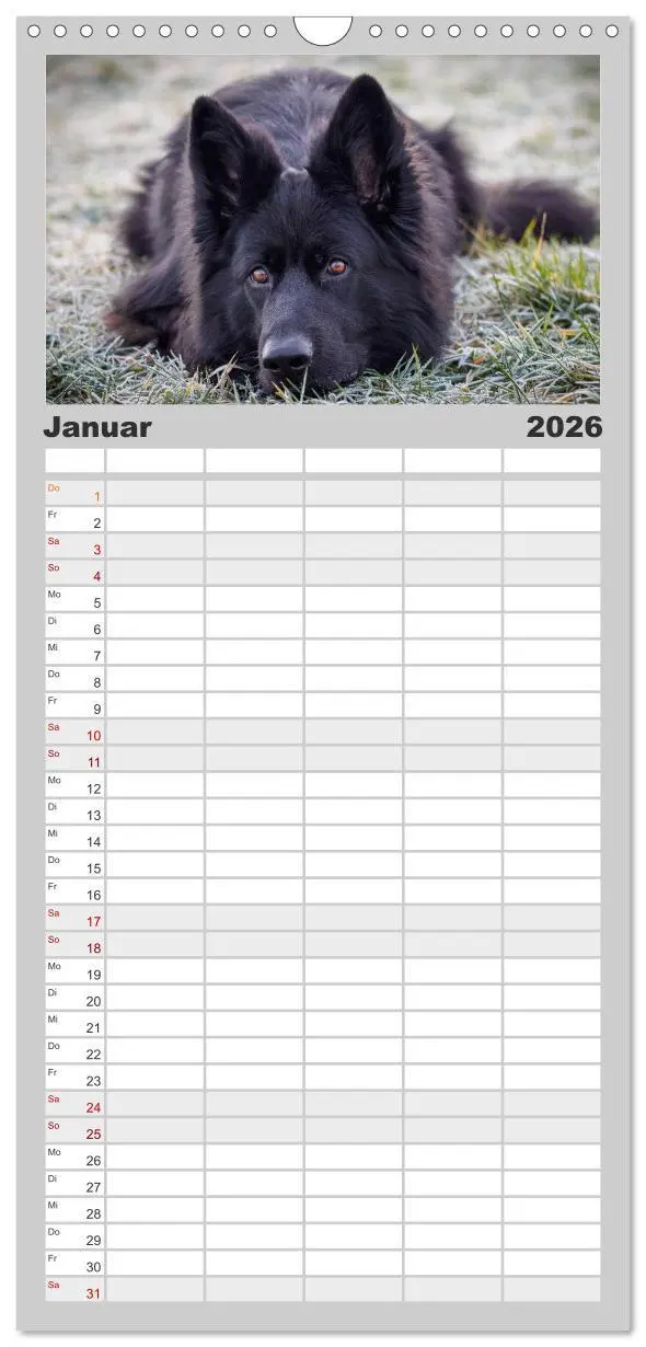 Bild: 9783516513950 | Familienplaner 2026 - Schwarz ist schön! Der lackschwarze...