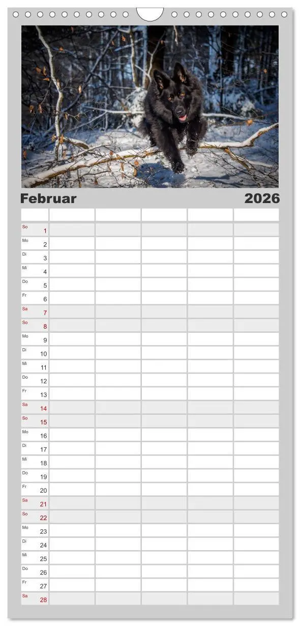 Bild: 9783516513950 | Familienplaner 2026 - Schwarz ist schön! Der lackschwarze...