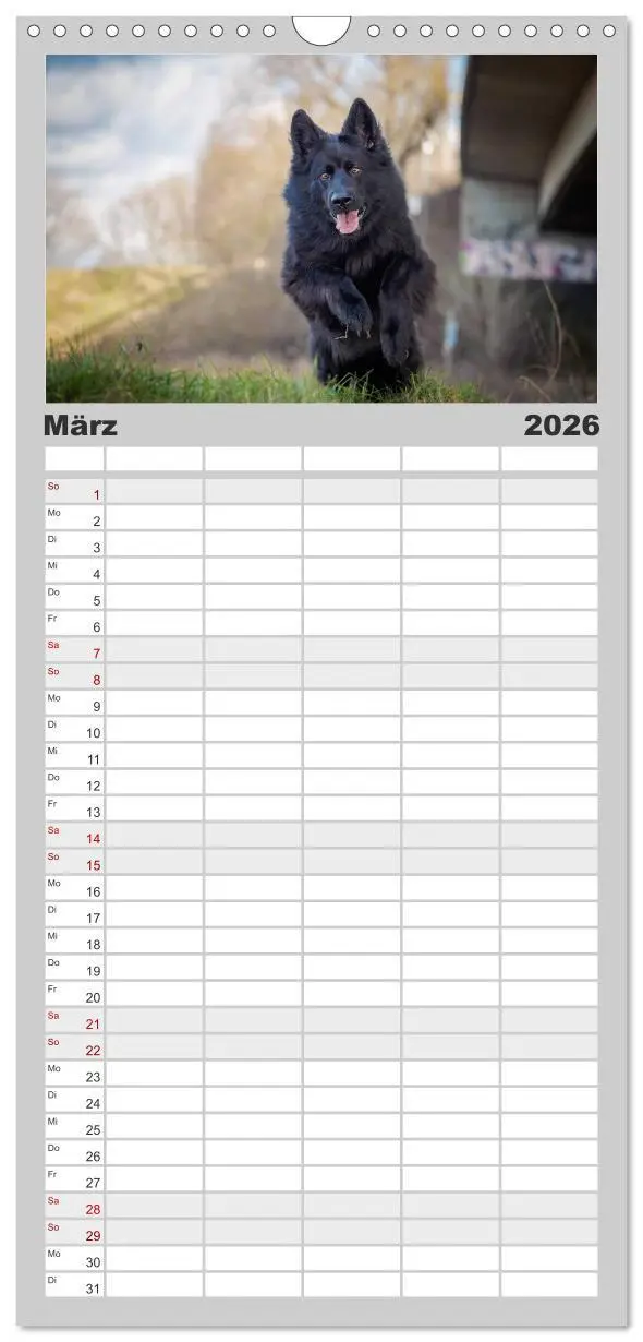 Bild: 9783516513950 | Familienplaner 2026 - Schwarz ist schön! Der lackschwarze...