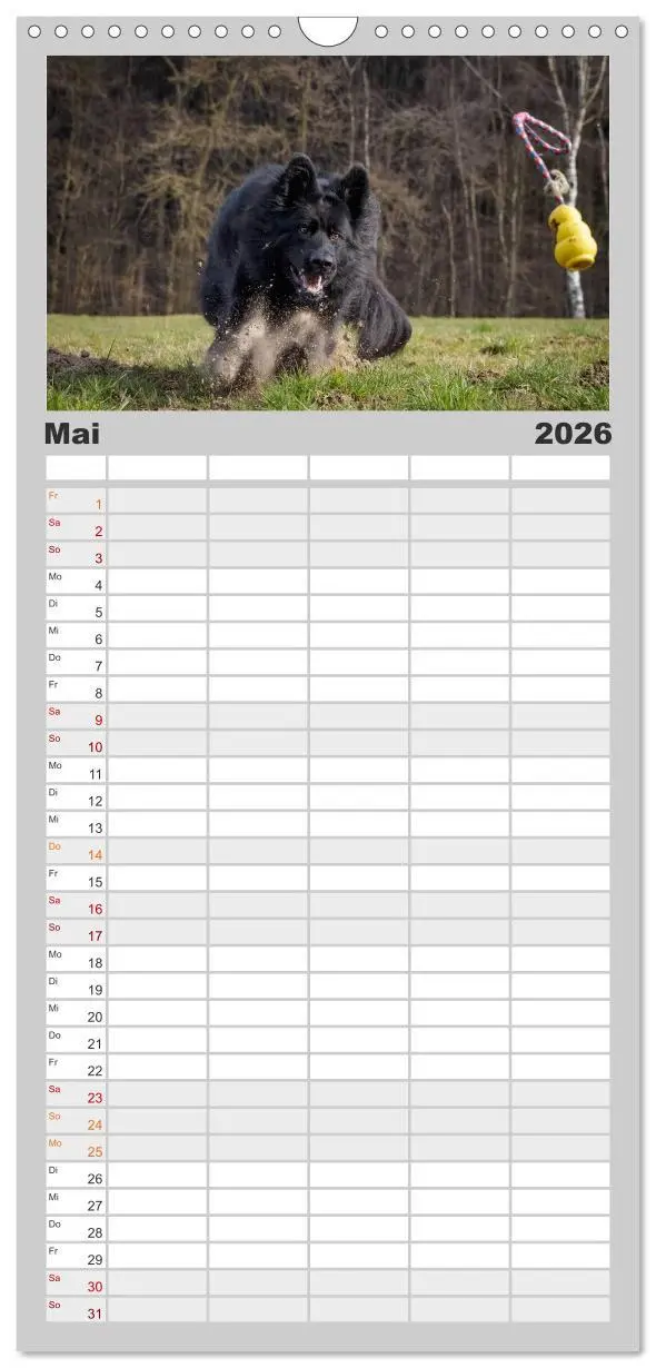 Bild: 9783516513950 | Familienplaner 2026 - Schwarz ist schön! Der lackschwarze...
