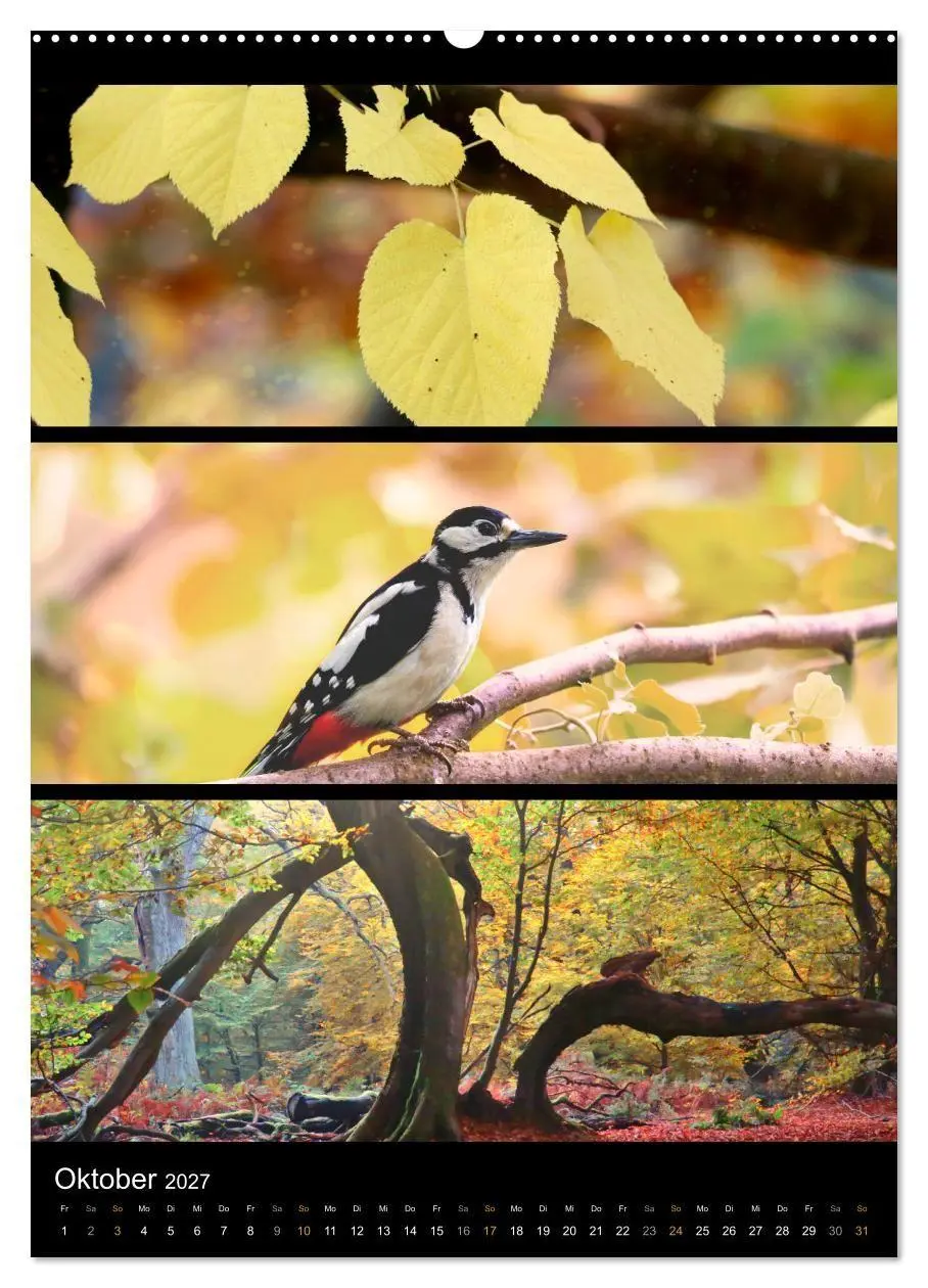 Bild: 9783569463950 | Bezaubernde Farben der Natur (hochwertiger Premium Wandkalender...