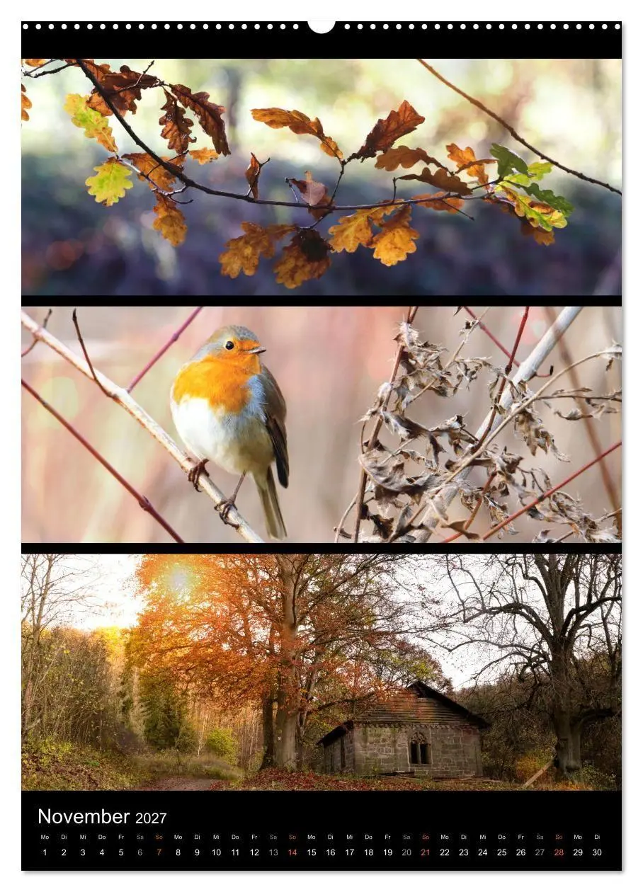 Bild: 9783569463950 | Bezaubernde Farben der Natur (hochwertiger Premium Wandkalender...