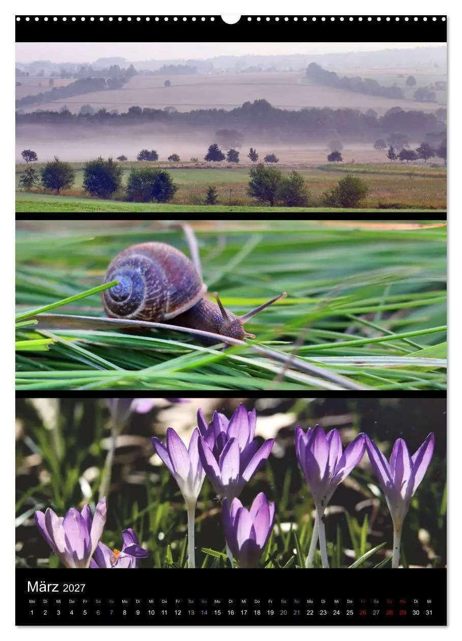 Bild: 9783569463950 | Bezaubernde Farben der Natur (hochwertiger Premium Wandkalender...