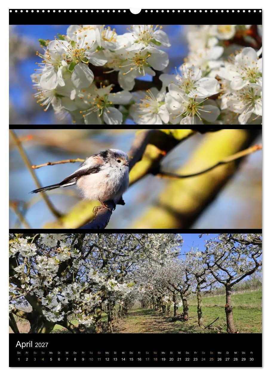 Bild: 9783569463950 | Bezaubernde Farben der Natur (hochwertiger Premium Wandkalender...