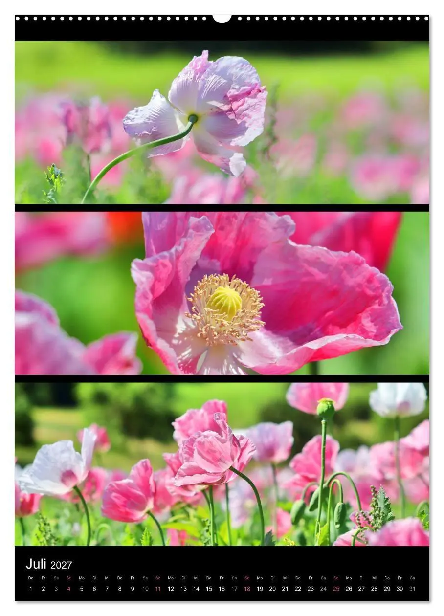 Bild: 9783569463950 | Bezaubernde Farben der Natur (hochwertiger Premium Wandkalender...