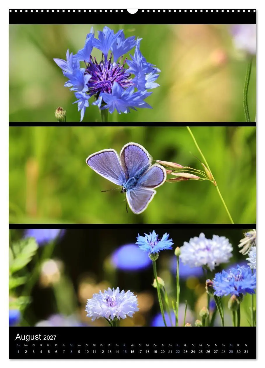 Bild: 9783569463950 | Bezaubernde Farben der Natur (hochwertiger Premium Wandkalender...