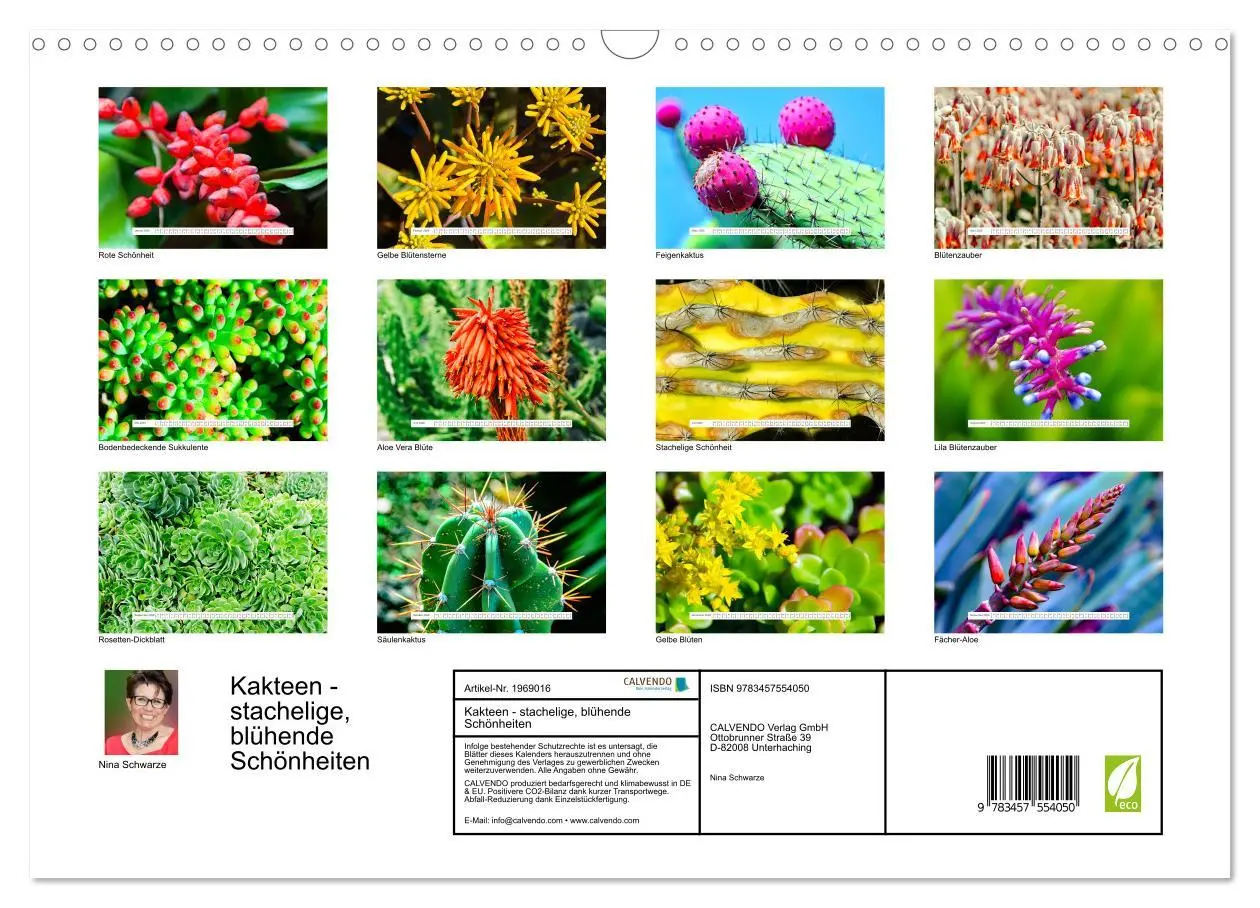 Bild: 9783457554050 | Kakteen - stachelige, blühende Schönheiten (Wandkalender 2026 DIN...