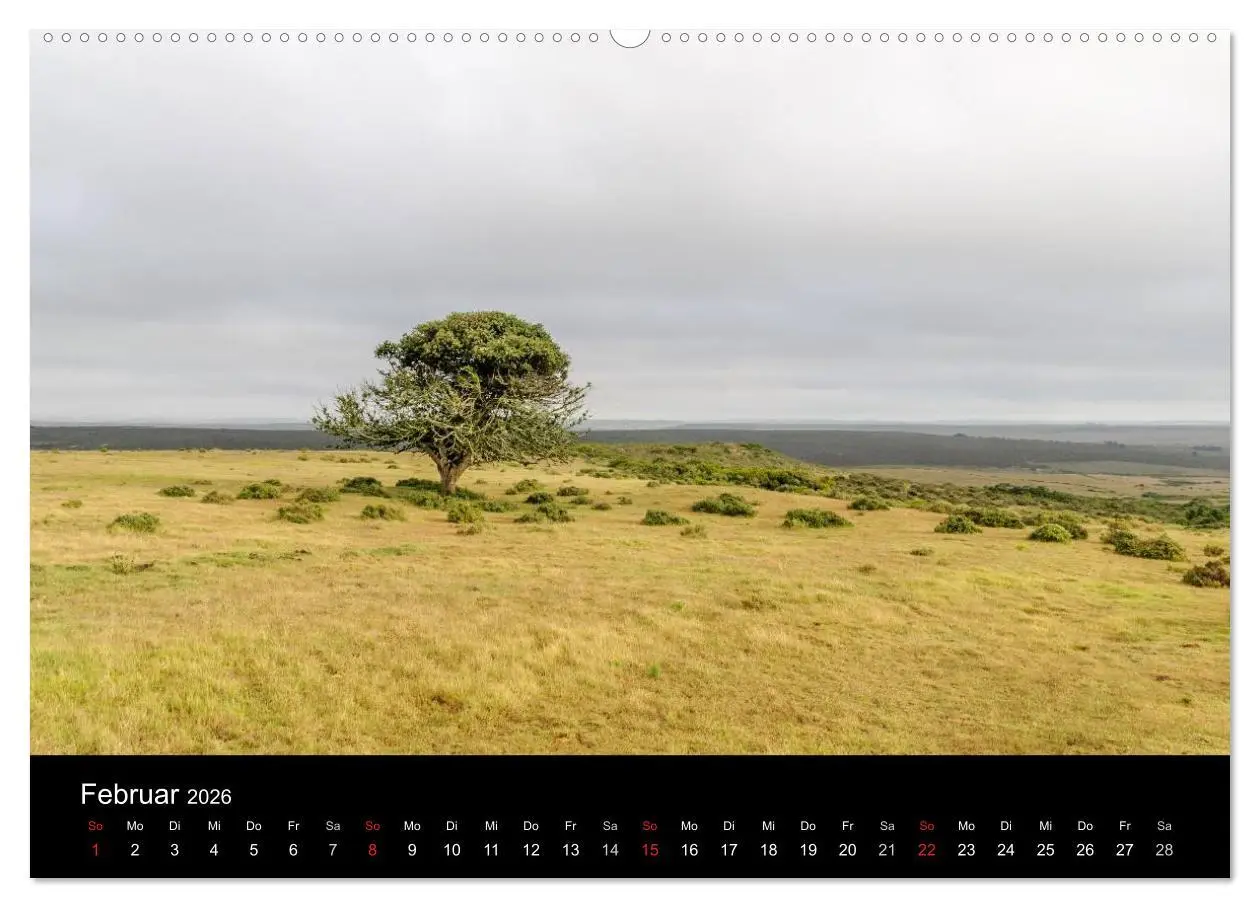 Bild: 9783516024050 | Unterwegs in Südafrika 2026 (hochwertiger Premium Wandkalender 2026...