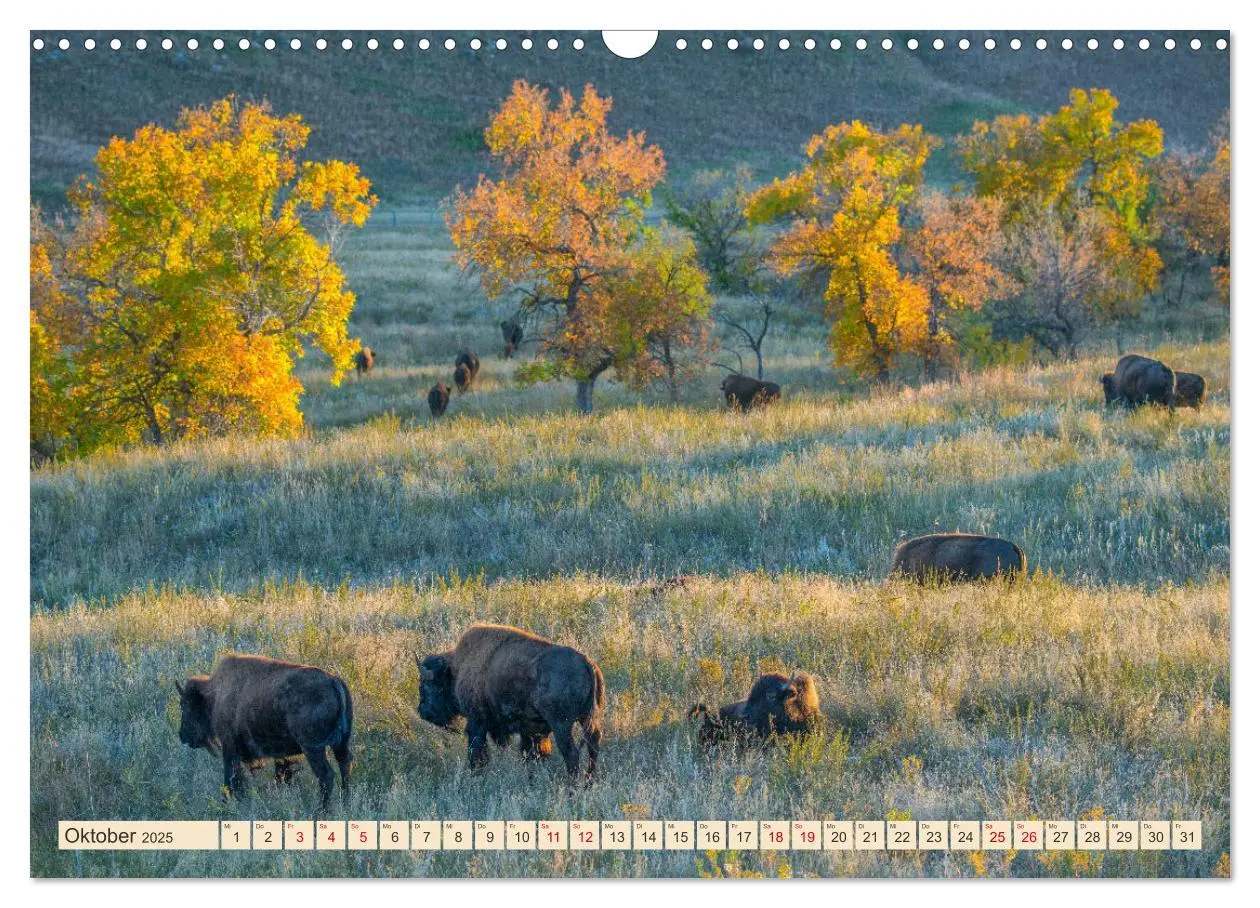 Bild: 9783457164150 | Sioux Im Lande von Sitting Bull (Wandkalender 2025 DIN A3 quer),...