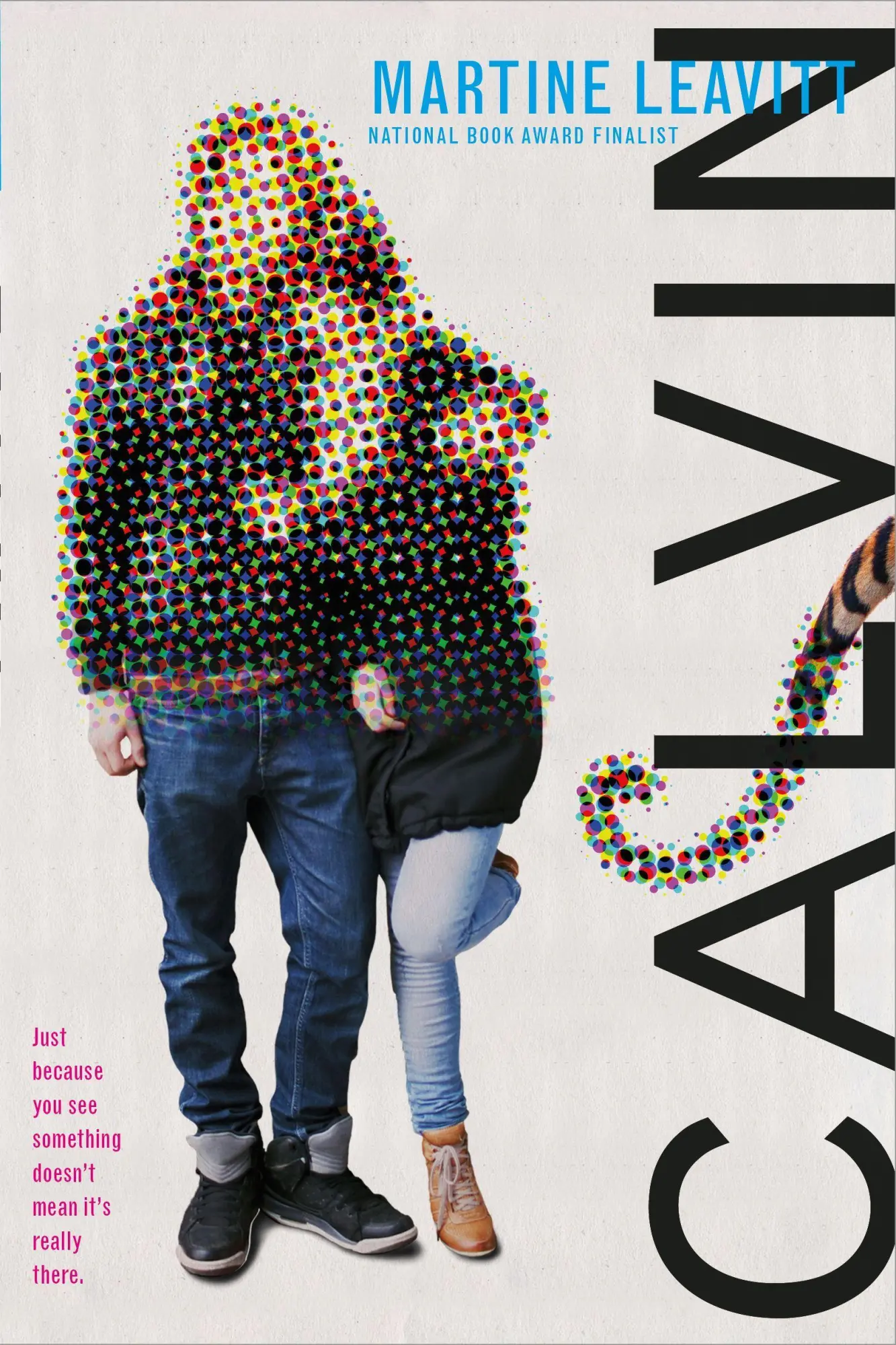 Cover: 9781250104250 | Calvin | Martine Leavitt | Taschenbuch | Kartoniert / Broschiert