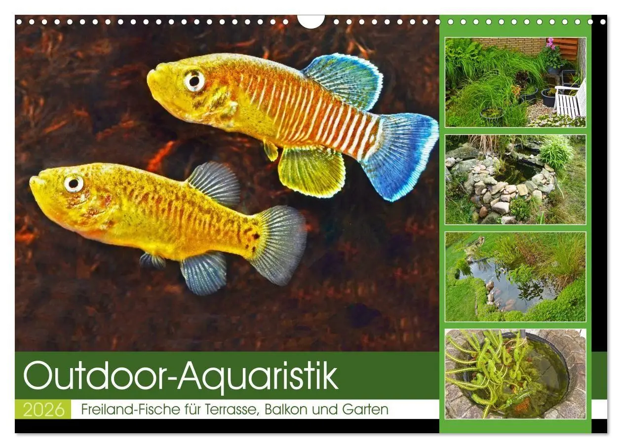 Cover: 9783457534250 | Outdoor-Aquaristik (Wandkalender 2026 DIN A3 quer), CALVENDO...