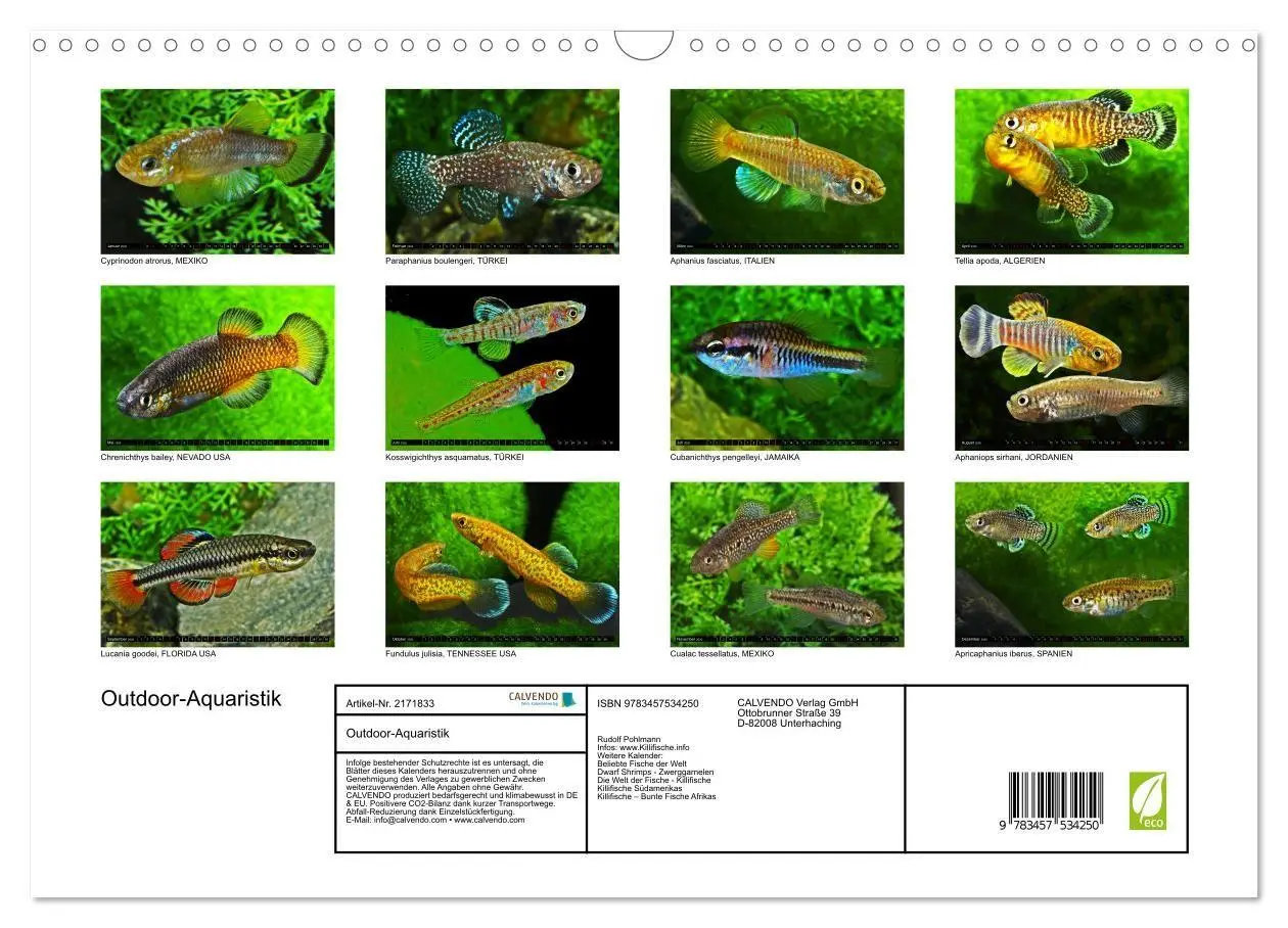 Bild: 9783457534250 | Outdoor-Aquaristik (Wandkalender 2026 DIN A3 quer), CALVENDO...