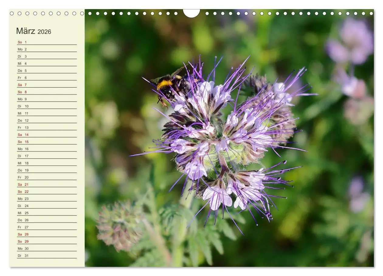 Bild: 9783457914250 | Ländliche Idylle zwischen Erzgebirge und Muldental (Wandkalender...