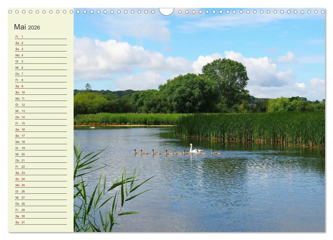 Bild: 9783457914250 | Ländliche Idylle zwischen Erzgebirge und Muldental (Wandkalender...