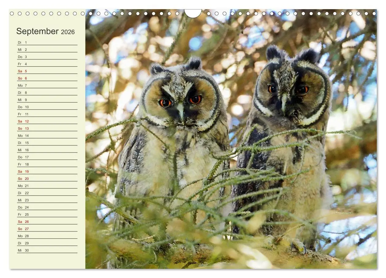 Bild: 9783457914250 | Ländliche Idylle zwischen Erzgebirge und Muldental (Wandkalender...