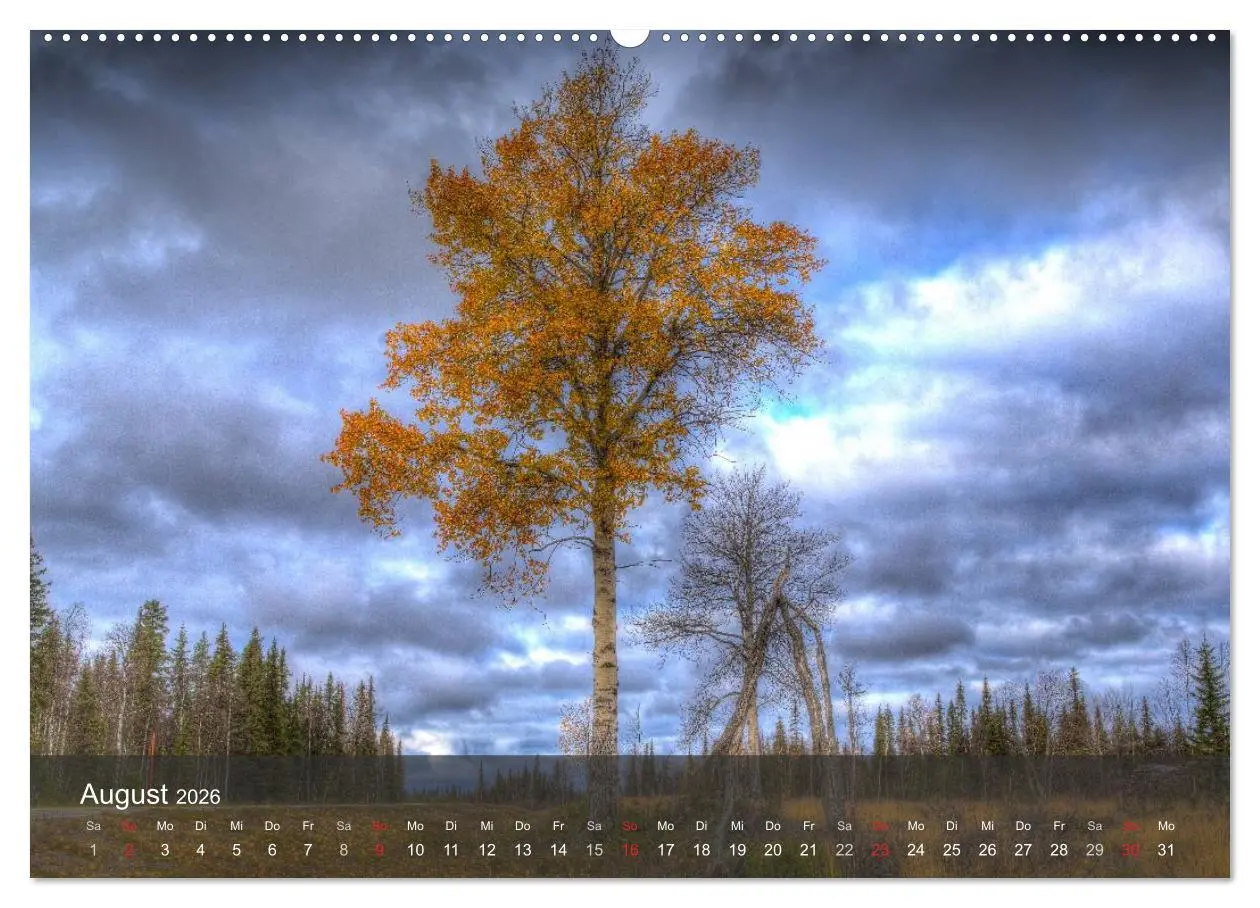 Bild: 9783516174250 | Lappland 2026 (Wandkalender 2026 DIN A2 quer), CALVENDO Monatskalender