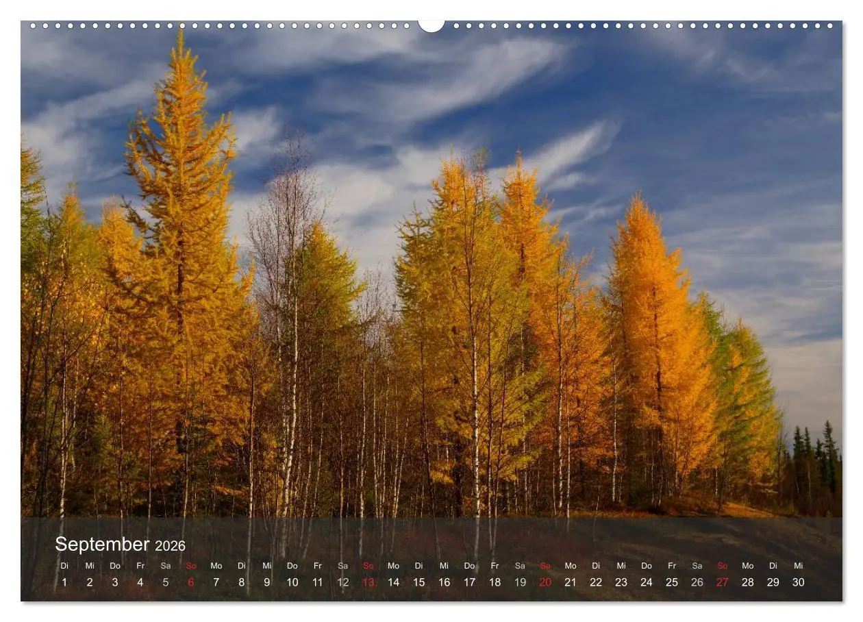Bild: 9783516174250 | Lappland 2026 (Wandkalender 2026 DIN A2 quer), CALVENDO Monatskalender
