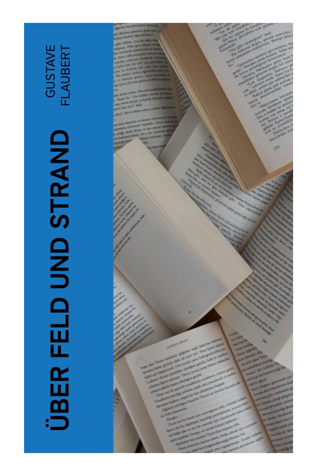 Cover: 9788027374250 | Über Feld und Strand | Gustave Flaubert | Taschenbuch | 64 S. | 2023