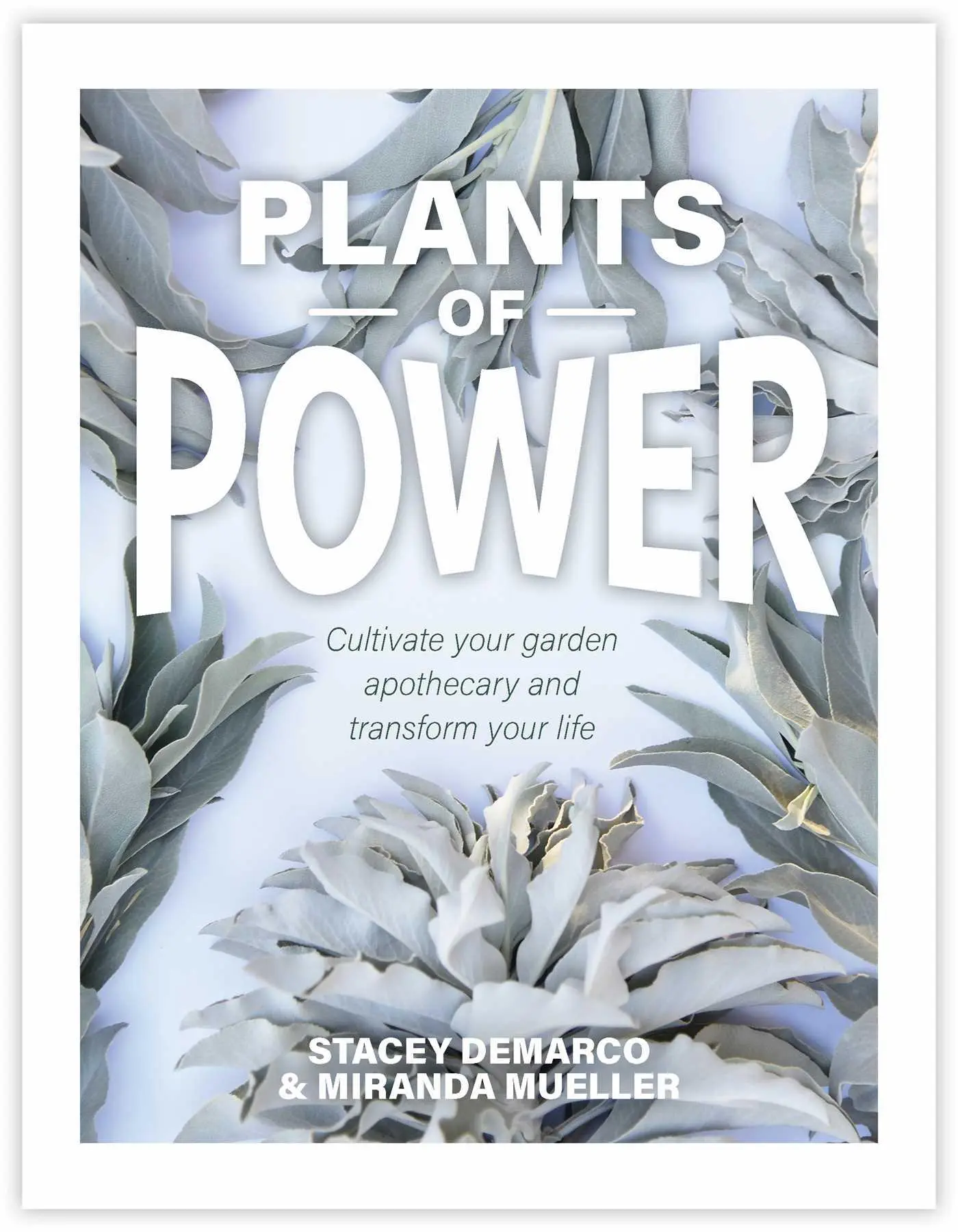 Cover: 9781925924350 | Plants of Power | Stacey Demarco (u. a.) | Buch | Gebunden | Englisch