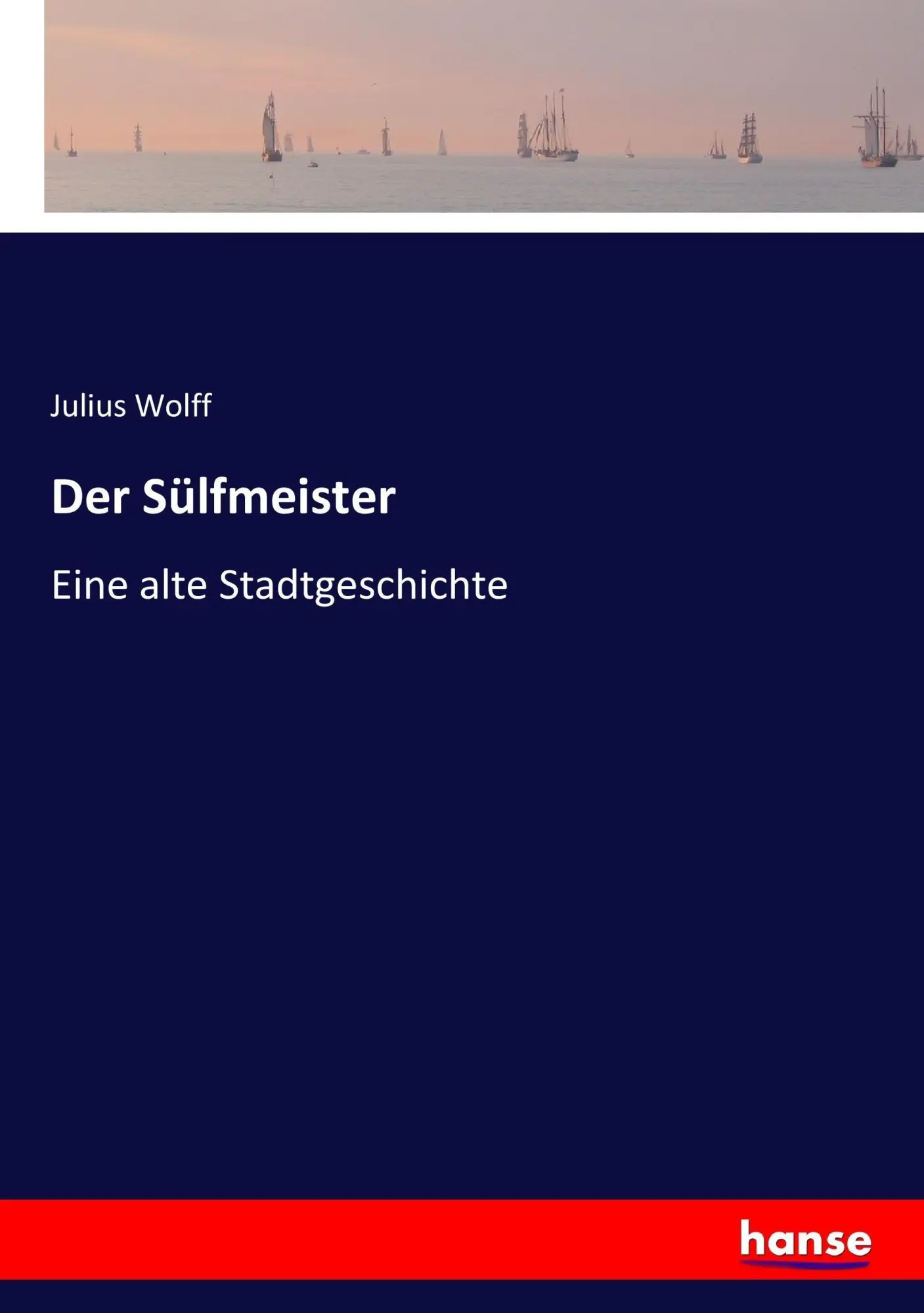 Cover: 9783743494350 | Der Sülfmeister | Eine alte Stadtgeschichte | Julius Wolff | Buch